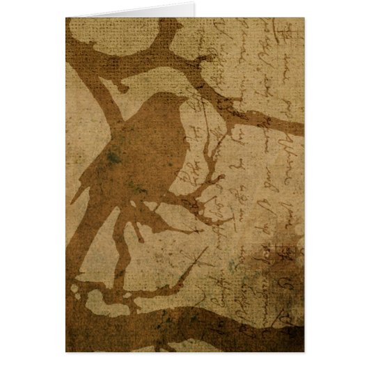 Vogel in een filiaal (Voorkant)