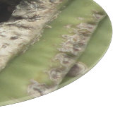 Vogel in een Saguaro Nest Snijplank (Hoek)