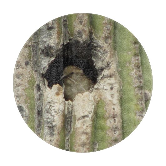 Vogel in een Saguaro Nest Snijplank (Voorkant)