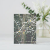 vogel in een winterboom briefkaart (Staand voorkant)
