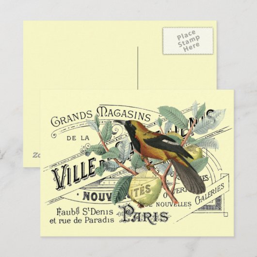 vogel in fruitbomen Ephemera Collage Briefkaart (Voorkant / Achterkant)