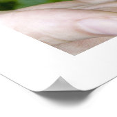 Vogel in handdruk poster (Hoek)