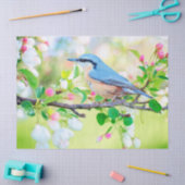 vogel in het document van het lentestuk tissuepapier (Craft)