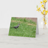 Vogel in het gras kaart (Gele Bloem)