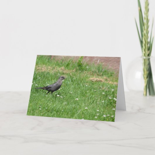 Vogel in het gras kaart (Voorkant)