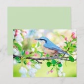 vogel in het voorjaar briefkaart (Voorkant / Achterkant)