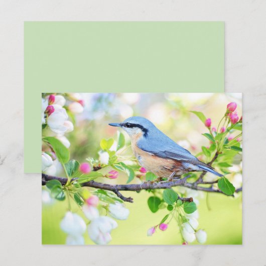 vogel in het voorjaar briefkaart (Voorkant / Achterkant)
