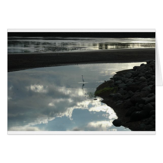 Vogel in het water (Voorkant Horizontaal)