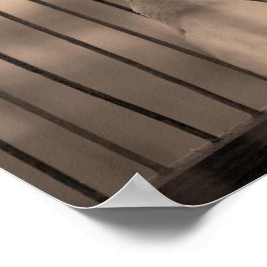 Vogel in kooi poster (Hoek)