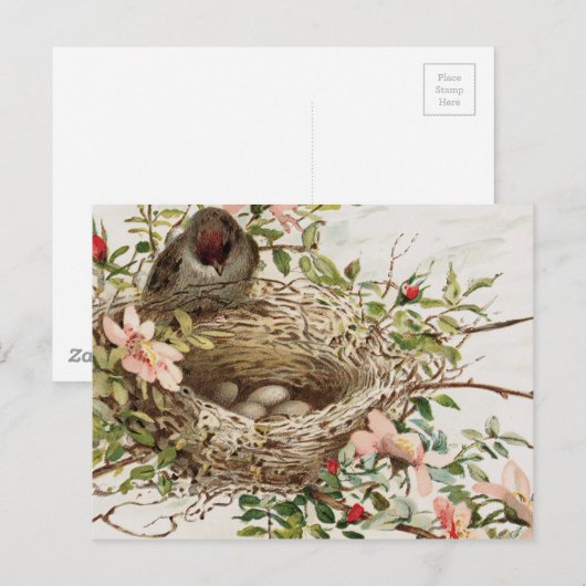  vogel in nestdierafdrukken briefkaart (Voorkant / Achterkant)