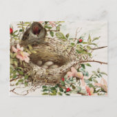  vogel in nestdierafdrukken briefkaart (Voorkant)
