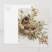 vogel in nestdierafdrukken briefkaart (Voorkant / Achterkant)