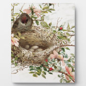 vogel in nestdierafdrukken fotoplaat (Voorkant)