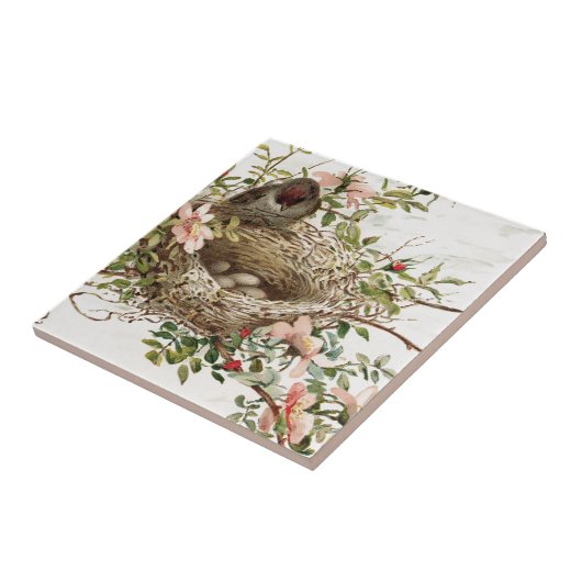  vogel in nestdierafdrukken tegeltje (Zijkant)