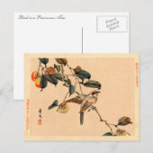 Vogel in PersimmonTree Briefkaart (Voorkant / Achterkant)