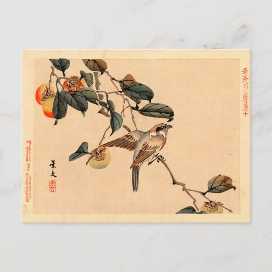 Vogel in PersimmonTree Briefkaart (Voorkant)