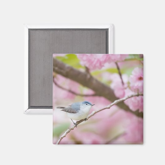 Vogel in roze bloesem magneet (Voorkant / Achterkant)
