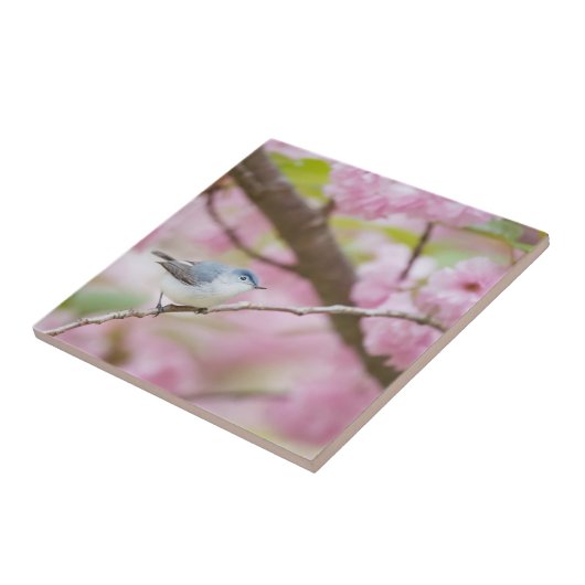 Vogel in roze bloesem tegeltje (Zijkant)