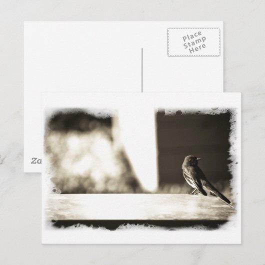Vogel in Sepia Briefkaart (Voorkant / Achterkant)