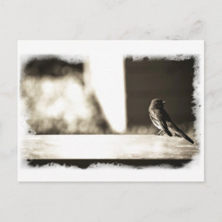 Vogel in Sepia Briefkaart