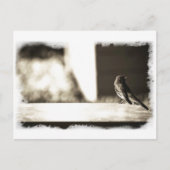 Vogel in Sepia Briefkaart (Voorkant)