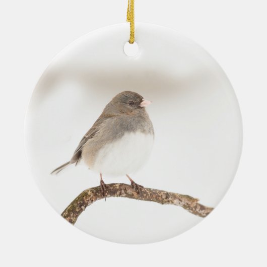 Vogel in sneeuw 2023 keramisch Ornament (Achterkant)