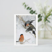 Vogel in sneeuw, Bruno Liljefors Briefkaart (Staand voorkant)