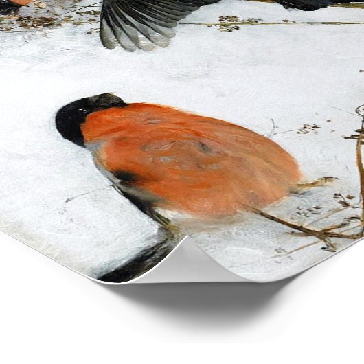 Vogel in sneeuw, Bruno Liljefors Poster (Hoek)