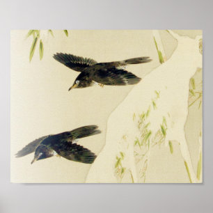 Vogel in sneeuwscène, Watanabe Seitei Poster