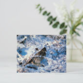 Vogel in Snowy Branches Briefkaart (Staand voorkant)