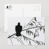 Vogel in Song Briefkaart (Voorkant / Achterkant)