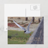 Vogel in vlucht briefkaart (Voorkant / Achterkant)