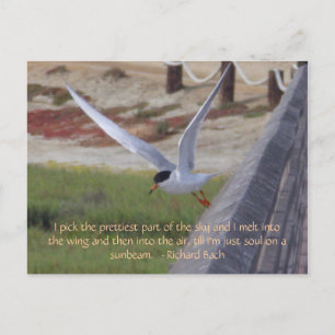 Vogel in vlucht briefkaart