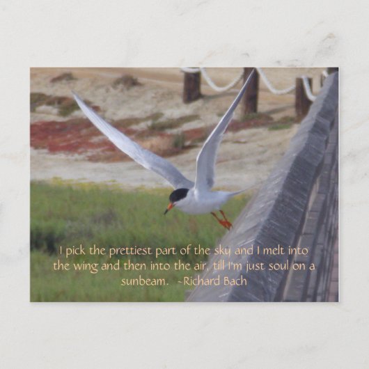 Vogel in vlucht briefkaart (Voorkant)