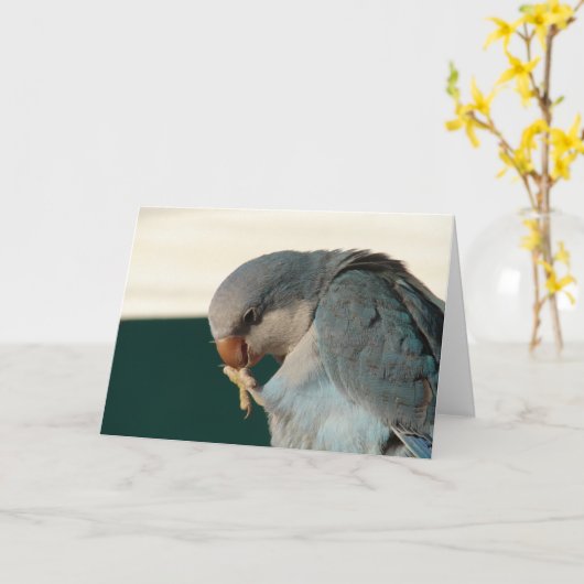  vogel kaart (Gele Bloem)