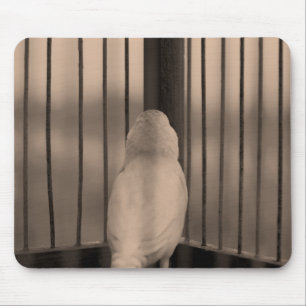 Vogel, kooi, bars muismat