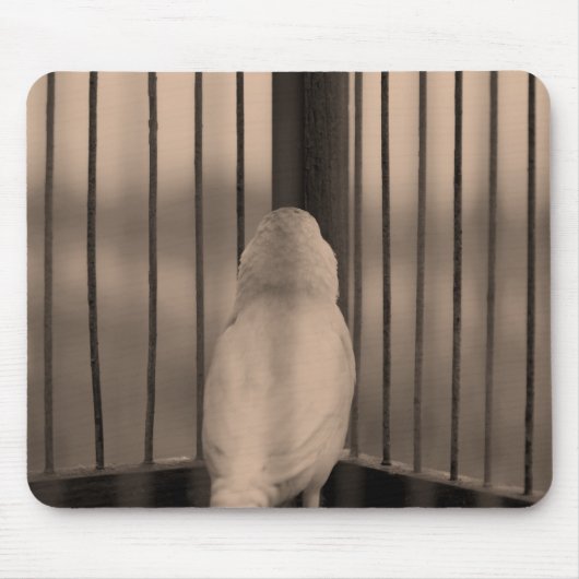 Vogel, kooi, bars muismat (Voorkant)