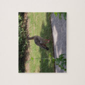 Vogel Legpuzzel (Verticaal)