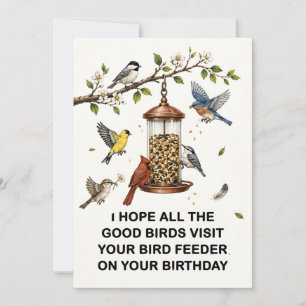Vogel Liefhebber Kaart   Grappige Vogel Voederbak 