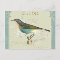 vogel links