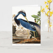 Vogel - Louisiana Heron door John James Audubon Kaart (Gele Bloem)
