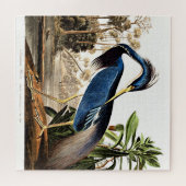Vogel - Louisiana Heron door John James Audubon Legpuzzel (Horizontaal)