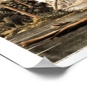 Vogel - Louisiana Heron door John James Audubon Poster (Hoek)