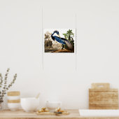 Vogel - Louisiana Heron door John James Audubon Poster (Keuken)