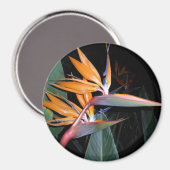 vogel magneet (Voorkant / Achterkant)