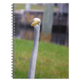 Vogel met lange nek notitieboek (Voorkant)