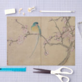 Vogel Met Pruimenbloesems Tissuepapier (Craft)