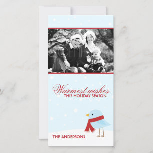 Vogel met sjaal Kerstkaarten Feestdagenkaart