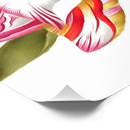 Vogel met Tulp-anjers en butterflies Acryl Perfect Poster (Hoek)