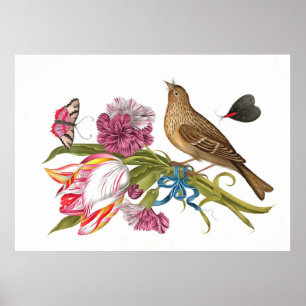 Vogel met Tulp-anjers en butterflies Acryl Poster